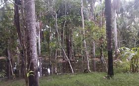 Amazon Lodge Varillal